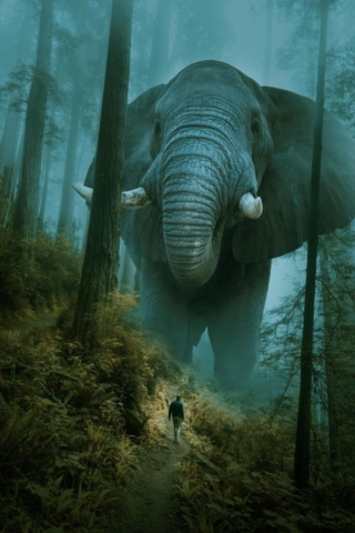 Fotomanipulation - gigantisk elefant i skov